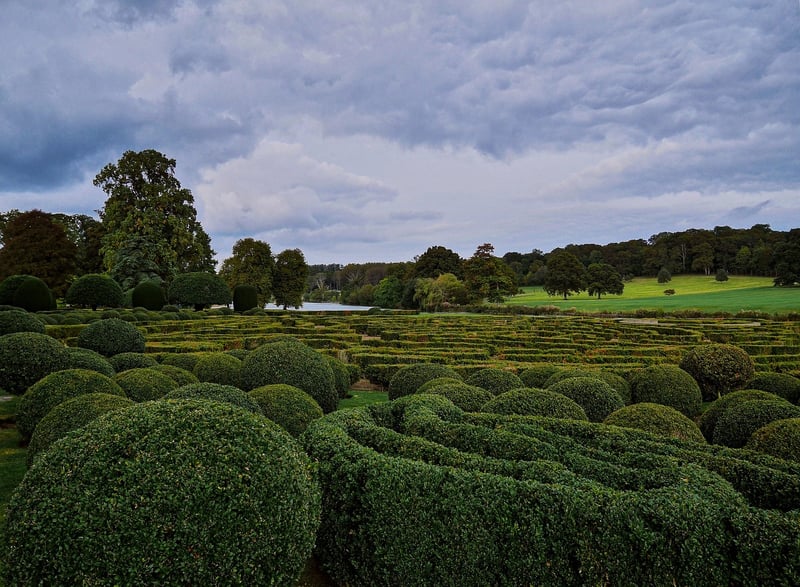 Hedging